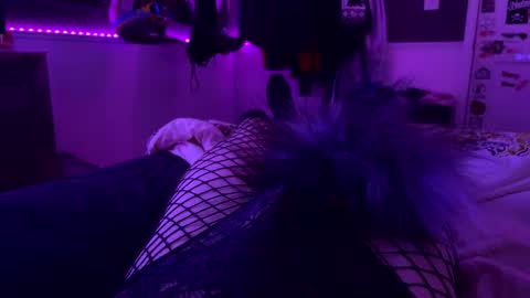 jrod11229 online show from 10-24-25, 02:30