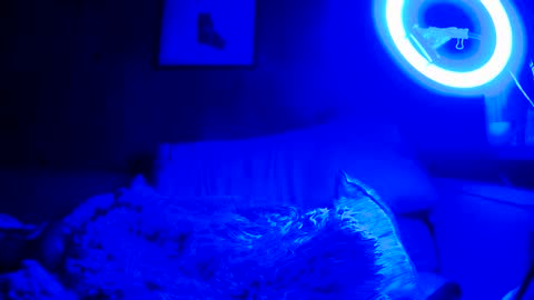 jroge21 online show from 03-09-25, 03:22