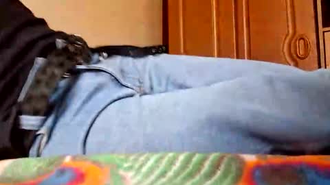 juan488826 online show from 03-23-26, 06:01