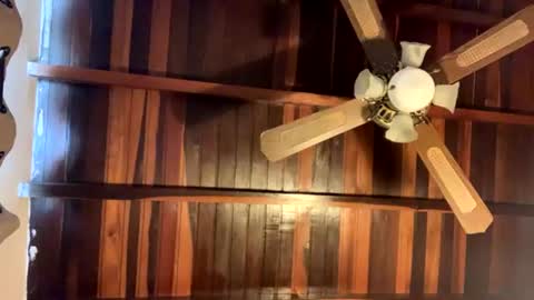 Snapshot of juan_bunny chatting on 06-16-26, 07:38 lJuanl online show from 06-16-26, 07:38