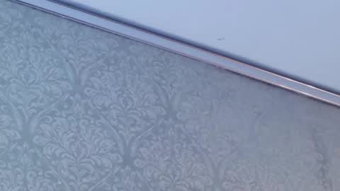 Snapshot of juanita_salv chatting on 02-12-26, 05:52 juanita online show from 02-12-26, 05:52