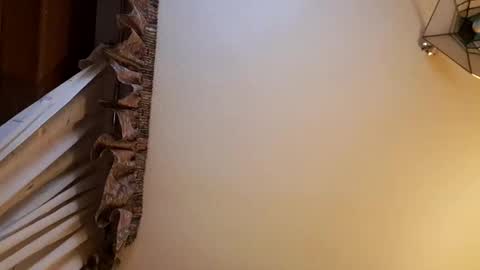 juanka85564456 online show from 02-28-25, 11:56