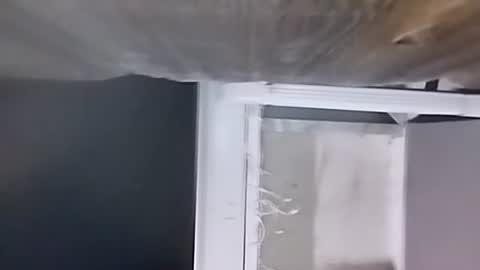 Carlos online show from 12-09-24, 02:34