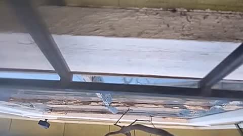 Carlos online show from 01-13-25, 07:31