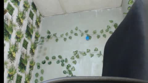 Mariagold online show from 02-13-25, 01:19