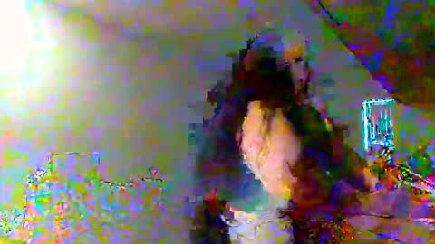 Snapshot of juicylatinabbw chatting on 02-20-26, 04:07 juicylatinabbw online show from 02-20-26, 04:07