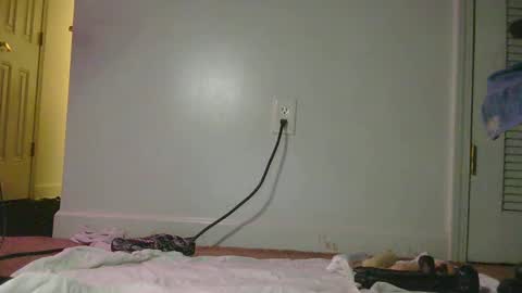 Snapshot of juiicybee chatting on 02-13-25, 04:11 Juiicy Bunns online show from 02-13-25, 04:11