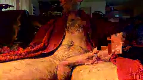 jujusbzh online show from 02-23-25, 08:06