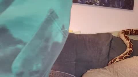 julia_official online show from 11-07-25, 05:02