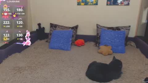 Jul online show from 02-21-26, 02:40