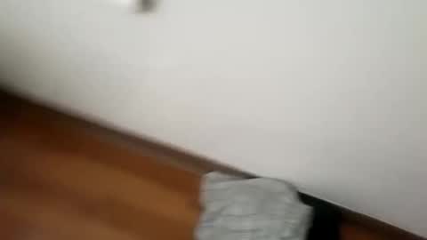 manolito online show from 01-01-25, 06:15