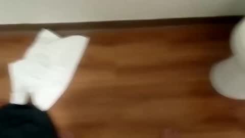 manolito online show from 01-19-25, 12:06