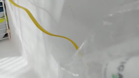 junior_bigcock3 online show from 04-25-26, 06:49