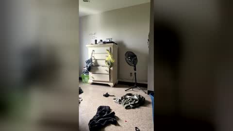 junosphboi online show from 04-03-26, 03:32