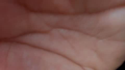 Layla online show from 01-23-25, 10:32