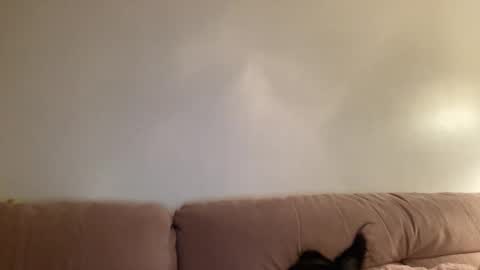 Snapshot of justjessiedirtygirl chatting on 03-02-26, 04:36 Jess online show from 03-02-26, 04:36