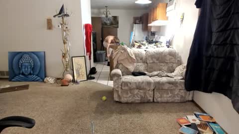 Kaiku77 online show from 11-30-25, 05:44