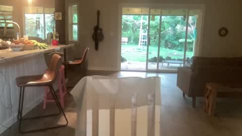 Snapshot of kaileeshy chatting on 10-01-25, 03:56 Kailee Smile online show from 10-01-25, 03:56