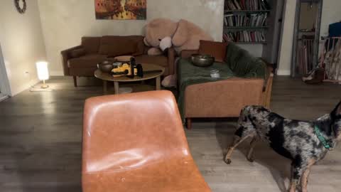 Kailee Smile online show from 03-06-26, 04:53