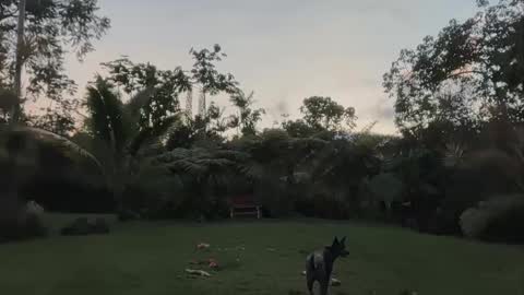 Kailee Smile online show from 04-24-26, 04:15