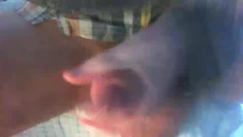 Snapshot of kamabo2 chatting on 04-07-26, 05:35 kamabo2 online show from 04-07-26, 05:35