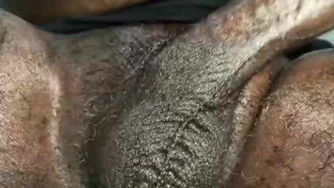 Snookie online show from 12-04-24, 09:40