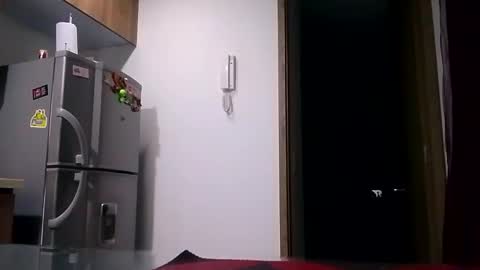 Karla Gonzaless online show from 11-07-25, 07:52