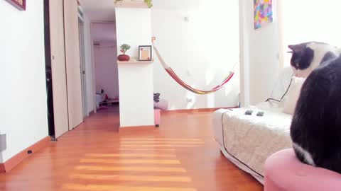 Karlye online show from 01-22-25, 02:24