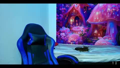    online show from 10-23-25, 10:03