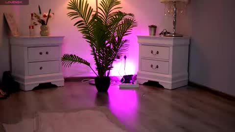 Snapshot of kassidyvibe chatting on 02-11-26, 11:04 Kassidy online show from 02-11-26, 11:04