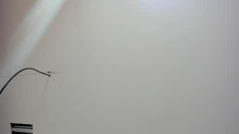 Snapshot of kate_bunny_ chatting on 02-18-26, 12:01 Kate online show from 02-18-26, 12:01