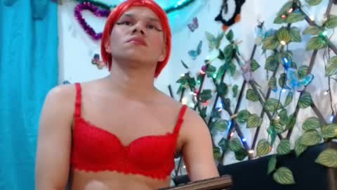 katsuki_lin online show from 01-09-26, 03:31