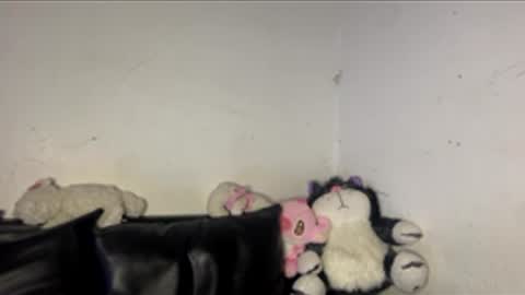 kattia online show from 03-16-26, 03:23