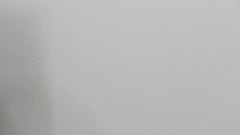 katy blonde girl and paola big boobs online show from 10-28-25, 07:49