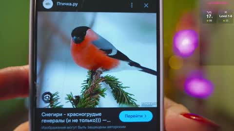 Katy      -    online show from 02-21-25, 02:39