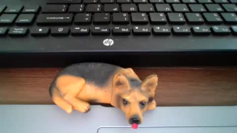 kawa98karbu online show from 06-30-26, 12:17