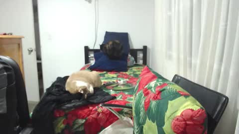  Khawit  online show from 01-10-26, 12:01