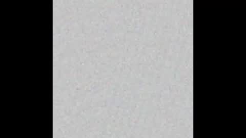 KEVIN online show from 03-17-26, 06:55