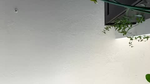 keepquietj online show from 01-17-25, 07:38