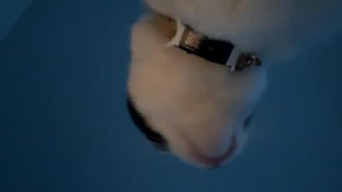 keepquietj online show from 01-20-25, 12:25