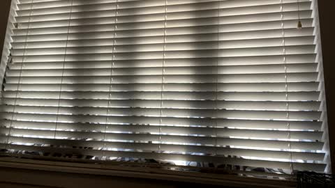 keepquietj online show from 02-07-25, 09:48