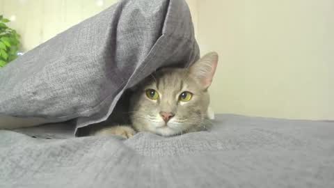 kelly_gerzikaaa online show from 04-05-26, 09:39