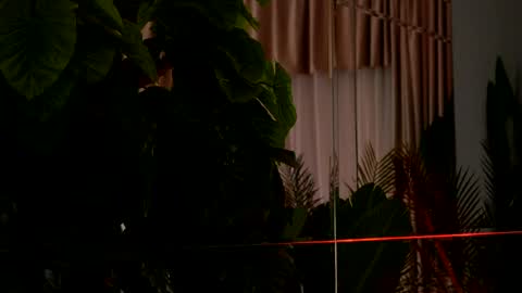 Denise online show from 04-06-26, 02:20