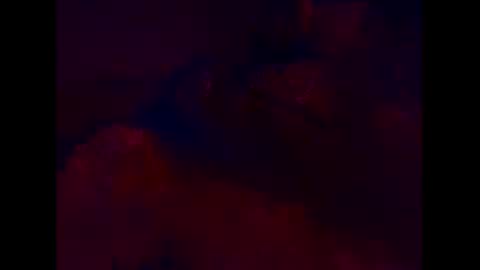 T online show from 11-19-25, 09:31