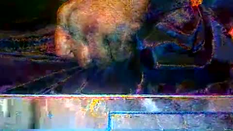 KENDREKO online show from 03-14-26, 09:37