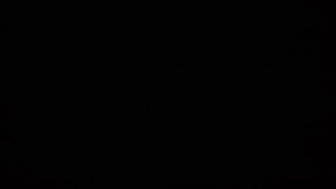 Kennfox777 online show from 01-17-25, 12:31