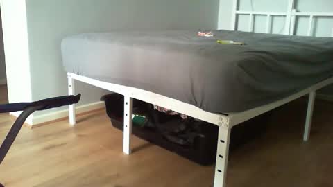 Snapshot of kevee1955 chatting on 02-20-26, 11:00 Daddyo online show from 02-20-26, 11:00