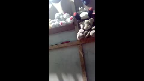 kevin_07279101 online show from 03-04-26, 04:40