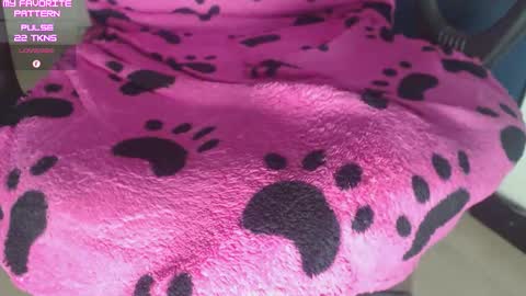 Kevin online show from 02-25-26, 03:05