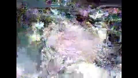 Snapshot of ki389253 chatting on 03-04-26, 02:17 ki389253 online show from 03-04-26, 02:17